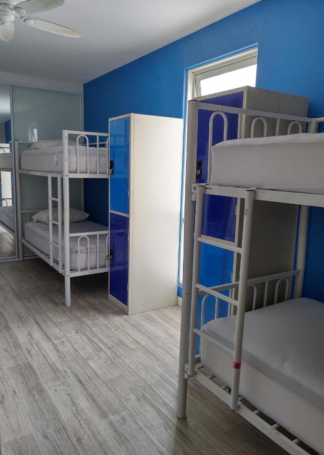 London Plane Backpackers Hostel Sydney Luaran gambar