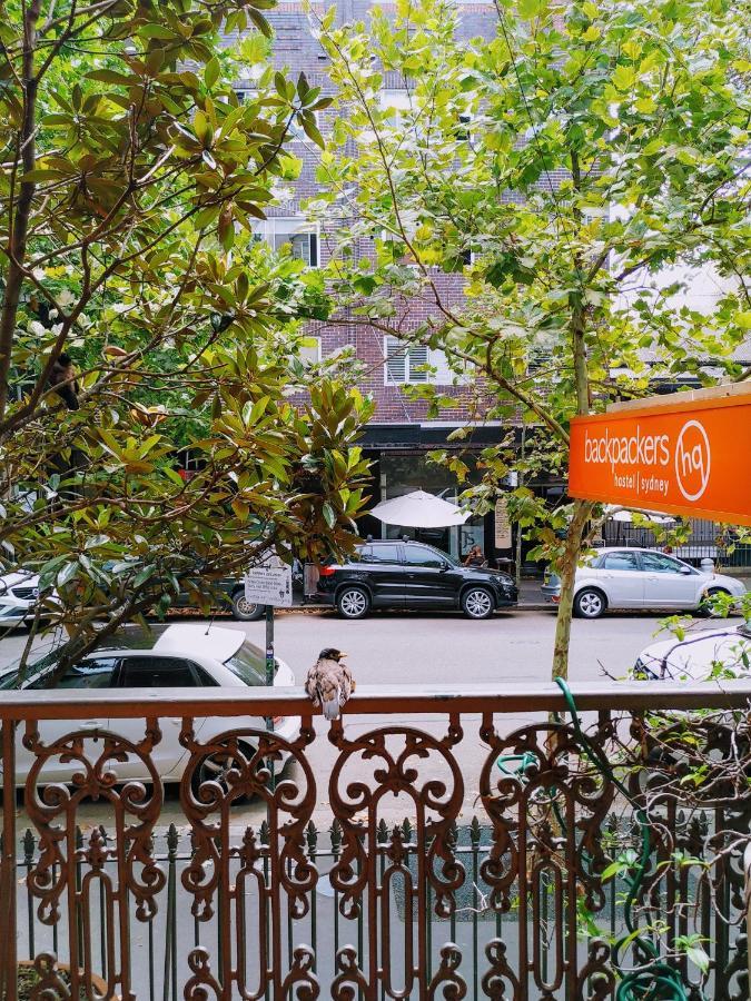 London Plane Backpackers Hostel Sydney Luaran gambar